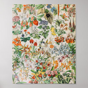 Adolphe Millot bloemen D Poster