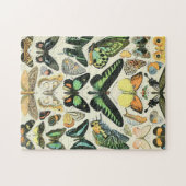 Adolphe Millot butterflies B Legpuzzel (Horizontaal)