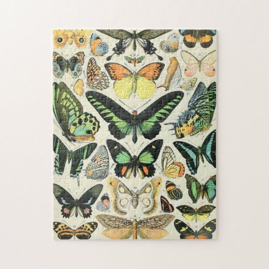 Adolphe Millot butterflies B Legpuzzel (Verticaal)
