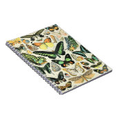 Adolphe Millot butterflies B Notitieboek (Rechterzijde)