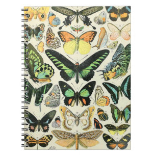 Adolphe Millot butterflies B Notitieboek
