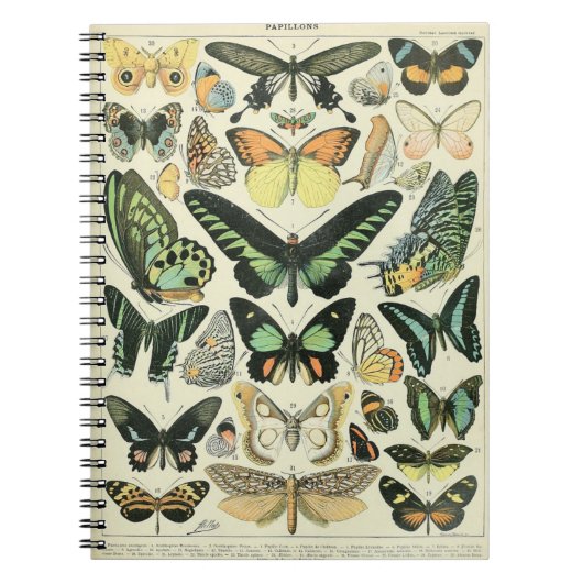 Adolphe Millot Butterflies Pattern-B Notitieboek (Voorkant)