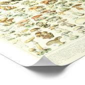 Adolphe Millot Champignon B Mushrooms Grafiek Poster (Hoek)