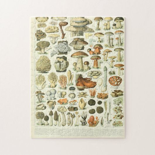 Adolphe Millot Champignon Legpuzzel (Verticaal)