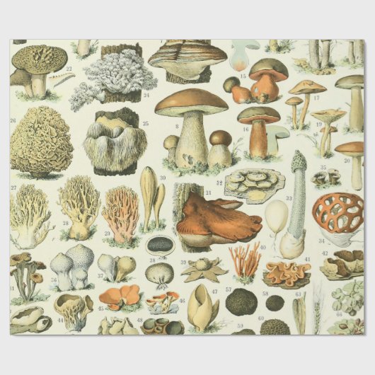 Adolphe Millot Champignon Mushroom Print Cadeaupapier (Vlak)