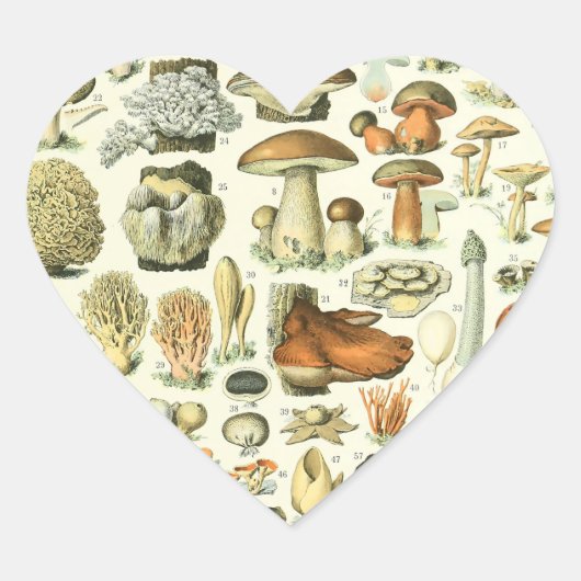 Adolphe Millot Champignon Mushroom Print Hart Sticker (Voorkant)