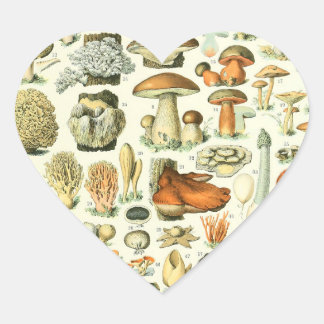 Adolphe Millot Champignon Mushroom Print Hart Sticker
