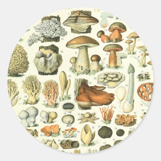 Adolphe Millot Champignon Mushroom Print Ronde Sticker (Voorkant)