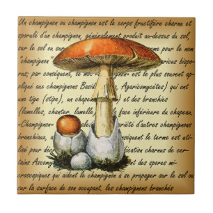 Adolphe Millot ~ Champignons-pour tous-fixate ~  Tegeltje