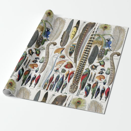 Adolphe Millot Dark Academia Vintage Bird Feather Cadeaupapier (Uitgerold)