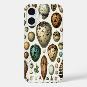 Adolphe Millot Dark Academia Vintage Vogel Ei Kuns iPhone 16 Hoesje