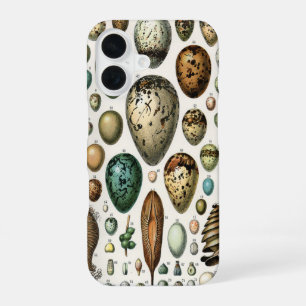 Adolphe Millot Dark Academia Vintage Vogel Ei Kuns iPhone 16 Hoesje