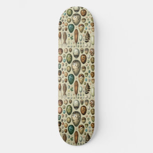 Adolphe Millot Dark Academia Vintage Vogel Ei Kuns Persoonlijk Skateboard