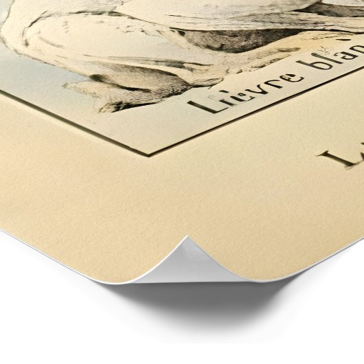 Adolphe Millot Dieren Poster (Hoek)