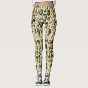 Adolphe Millot Donkere Academici Vintage Vogel Ei Leggings