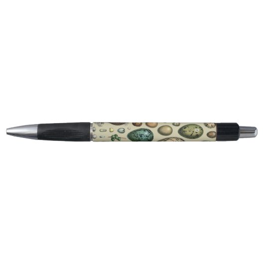 Adolphe Millot Donkere Academici Vintage Vogel Ei Pen (Voorkant)