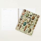 Adolphe Millot Donkere Academici Vintage Vogel Ei Planner (Display)