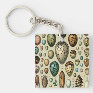 Adolphe Millot Donkere Academics Vintage Vogel Ei  Sleutelhanger