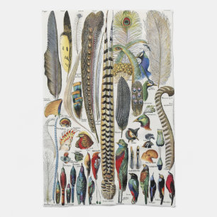 Adolphe Millot Donkere Academie Vintage Vogelveer Theedoek