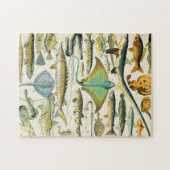 Adolphe Millot fish B Legpuzzel (Horizontaal)