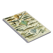 Adolphe Millot Fish Pattern-A Notitieboek (Rechterzijde)