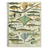 Adolphe Millot Fish Pattern-A Notitieboek (Voorkant)