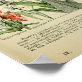 Adolphe Millot Fleurs Poster (Hoek)