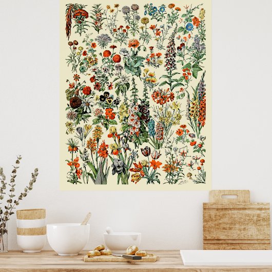 Adolphe Millot Flowers Poster (Keuken)