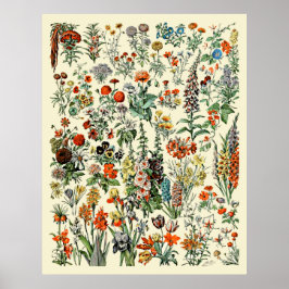Adolphe Millot Flowers Poster