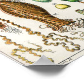 Adolphe Millot  Franse vogeleieren Poster (Hoek)