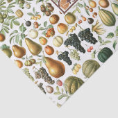 Adolphe Millot Fruit Pattern-document Tissuepapier (Detail)