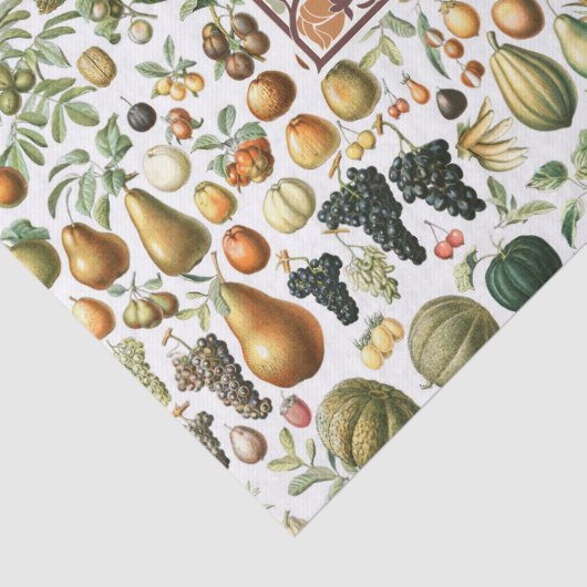Adolphe Millot Fruit Pattern-document Tissuepapier (Detail)