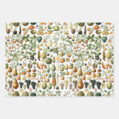 Adolphe Millot Fruit Pattern Inpakpapier Vel (Voorkant 3)