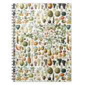 Adolphe Millot Fruit Pattern Notitieboek (Voorkant)