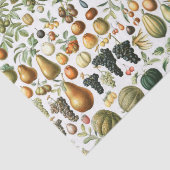 Adolphe Millot Fruit Pattern Tissuepapier (Detail)