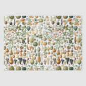 Adolphe Millot Fruit Pattern Tissuepapier (Voorkant)