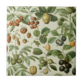 Adolphe Millot - Fruit Tegeltje (Voorkant)