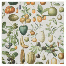 Adolphe Millot Fruits