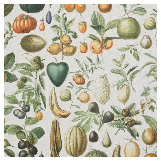 Adolphe Millot Fruits Stof (Swatch)