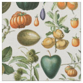 Adolphe Millot Fruits Stof (Close Up)