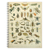 Adolphe Millot Insects Pattern-C Notitieboek (Voorkant)