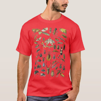 Adolphe Millot Insects Spider T-shirt
