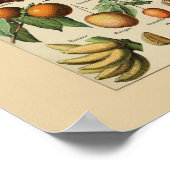 Adolphe Millot is geschikt voor Print Poster (Hoek)