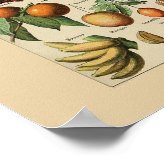 Adolphe Millot is geschikt voor Print Poster (Hoek)