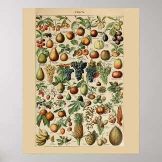 Adolphe Millot is geschikt voor Print Poster