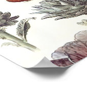 Adolphe Millot Legumes et Plantes Potageres Poster (Hoek)