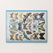 Adolphe Millot List of Butterflies Legpuzzel (Horizontaal)