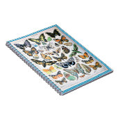 Adolphe Millot List of Butterflies Notitieboek (Rechterzijde)