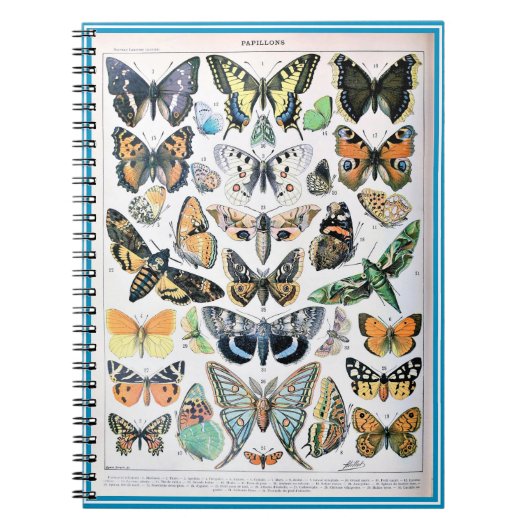 Adolphe Millot List of Butterflies Notitieboek (Voorkant)