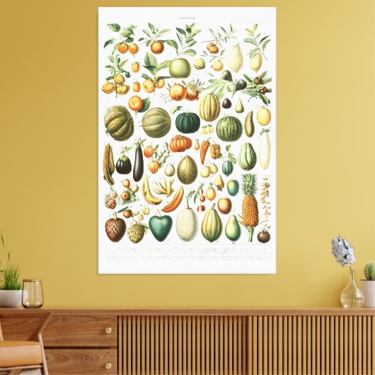 Adolphe Millot maakt Canvas Print (Insitu (Woonkamer))